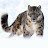 avatar of @-black-white-