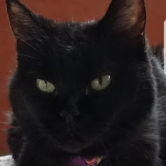 アルティマアイコン画像