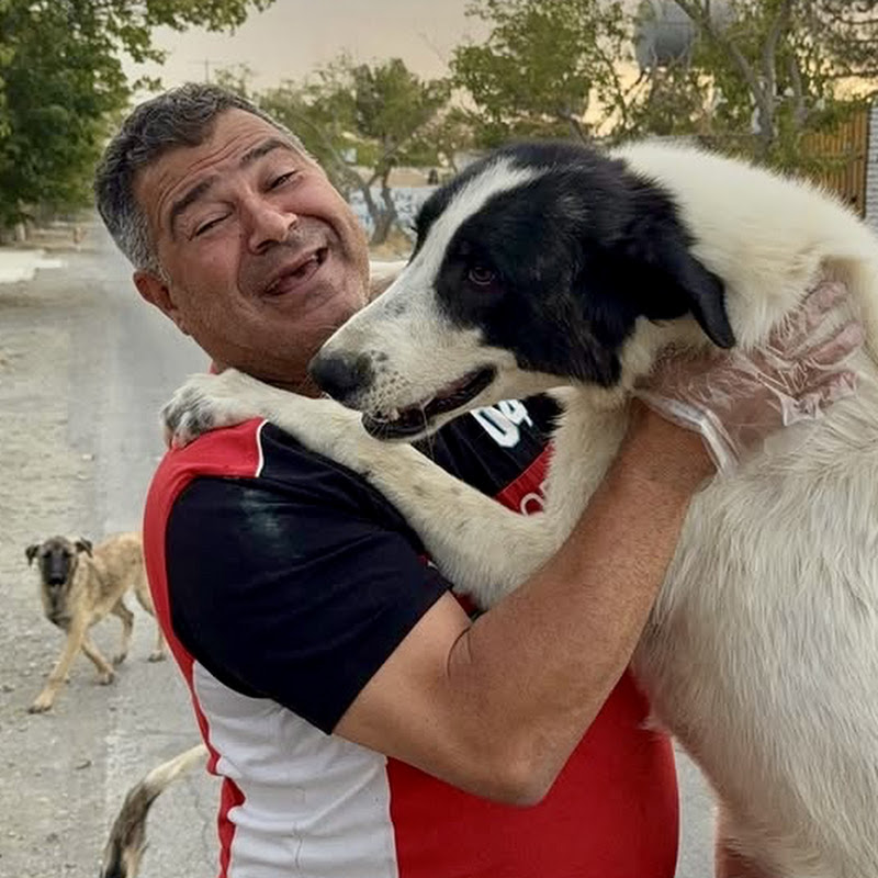 Abas Toosi – Helping Animals