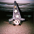 xxzDbFs6sHM-channel-avatar-NAIKY