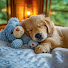 NMY3yUq5WSY-channel-avatar-Dog Sleep Music