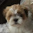 @grassnake7122 Avatar