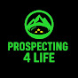 Prospecting 4 Life logo