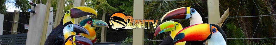 2CAN.TV - Ripley the Toucan! YouTube channel avatar