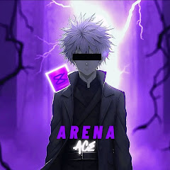 Arena Ace