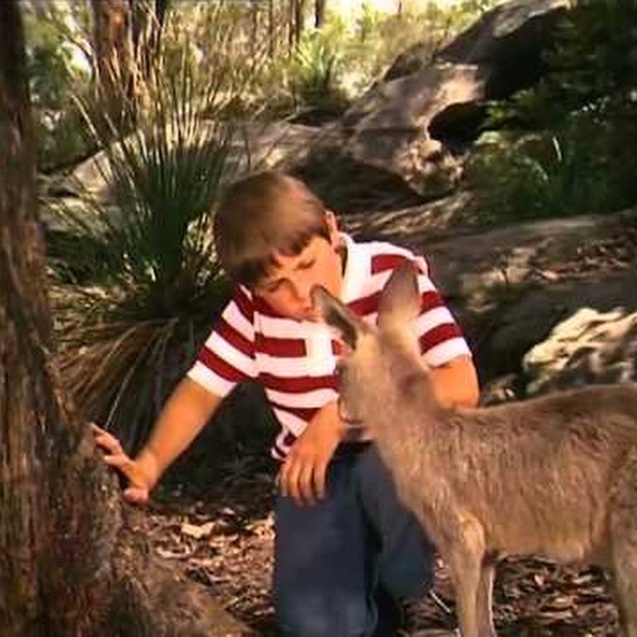 Skippy the Bush Kangaroo Topic YouTube