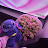 @Roo-w3j