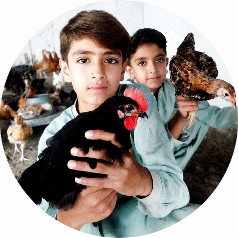 Hire Zain Hens — Pets & Animals YouTube creator for sponsorships