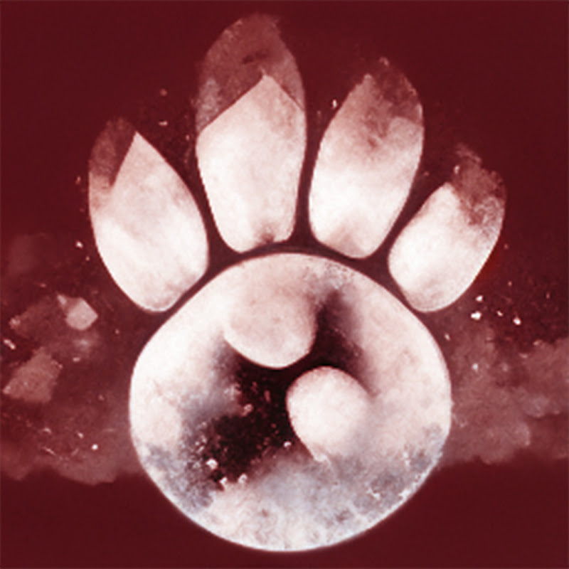 PanzerPaw TV