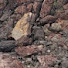 9_NfzcVYbNA-channel-avatar-Stone