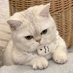Fluffy Friendsアイコン画像