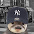 FQVWX8UMyzg-channel-avatar-chicagootter 