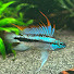 Cy0019g1FsY-channel-avatar-Aqua. to go