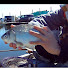 eENs2hIBuuw-channel-avatar-taniyan