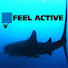 M_bmMOetcT0-channel-avatar-Nurkowanie FeelActive.pl