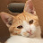 @catlover4357