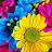 @adelebz7