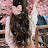 @c-wd9bu Avatar