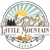 What could Little Mountain Ranch buy with $100 thousand?