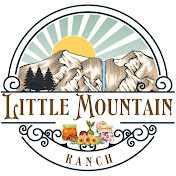 Little Mountain Ranch
