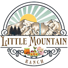 Little Mountain Ranch Avatar