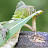 @ashbridgeprojects6916's avatar