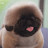 @잭스패로우o4o