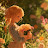 @KirthiManish