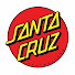pp6c3bDaCGA-channel-avatar-Santa Cruz Skateboards