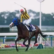 パドック調教無視の競馬予想