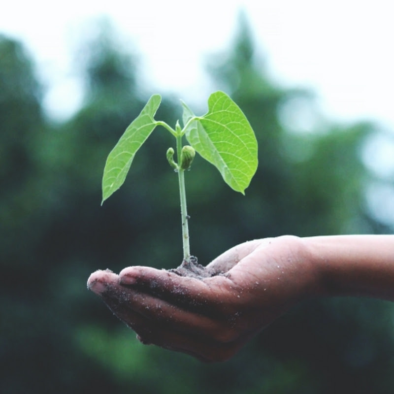 Ayurvedic Science