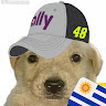 Автор