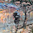 @1stmyopinion Avatar