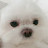 @마루똥
