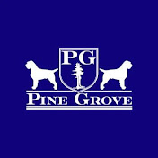 Pine Grove Sporting Dogs