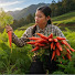 _PzO9FIfuHo-channel-avatar-Ly Thi Duyen