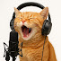 C5bD7j5lb9E-channel-avatar-Funny Collection Pets