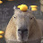 @user-capybaraTV