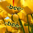 @Bee-o7c