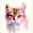 TtYtIbzWUuU-channel-avatar-NekoCuqui 