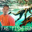 THE  FISH HUNTER