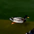 Channel Image