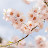@nourayelmoula7297