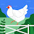 @꼬꼬닭-q3p