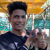 Satyam’s pet journey 