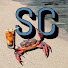 OJ3frWMXt3E-channel-avatar-Soda Crab