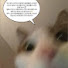 uTYTq0q-mR0-channel-avatar-철버찍영