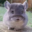 youtube avatar