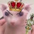 @KingBingus96 Avatar