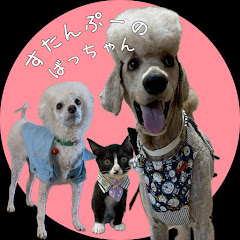 すたんぷーのばっちゃん